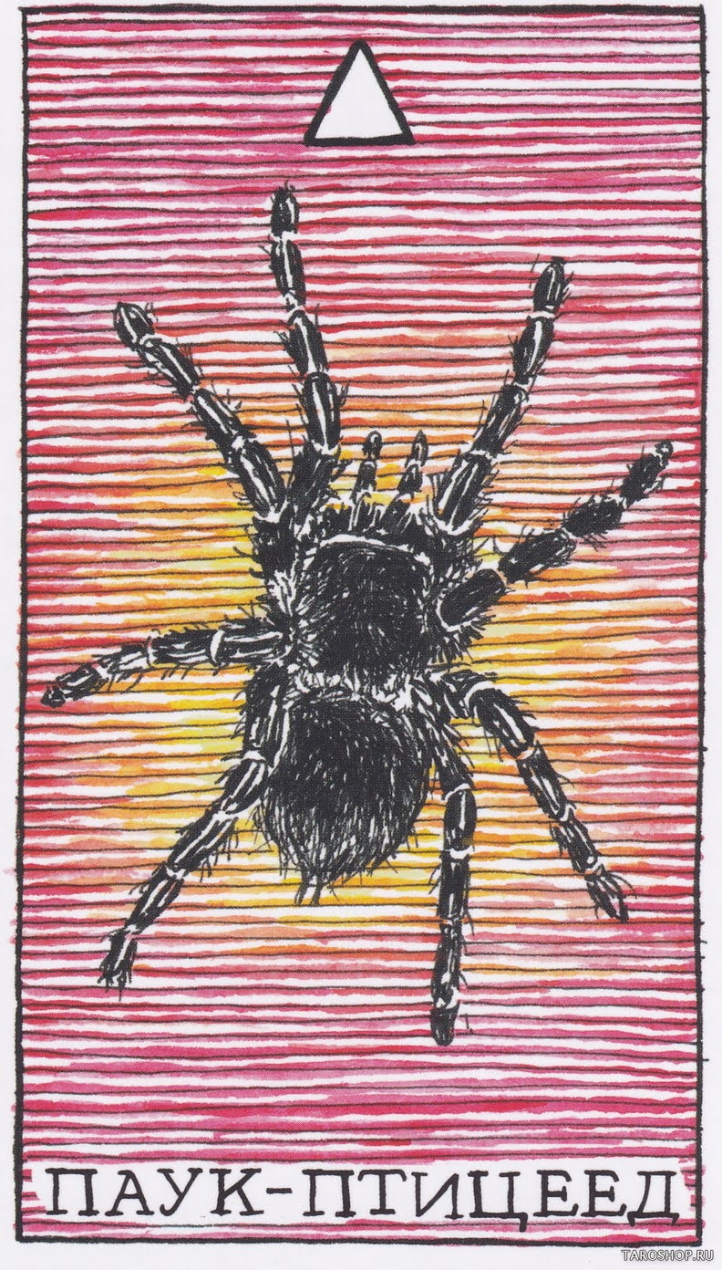 The Wild Unknown Animal Spirit (Дикое Неизвестное тотемное животное)